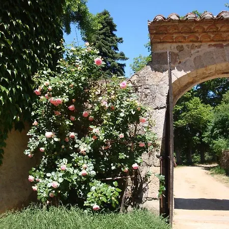 Le Hameau De Robert Couette-café